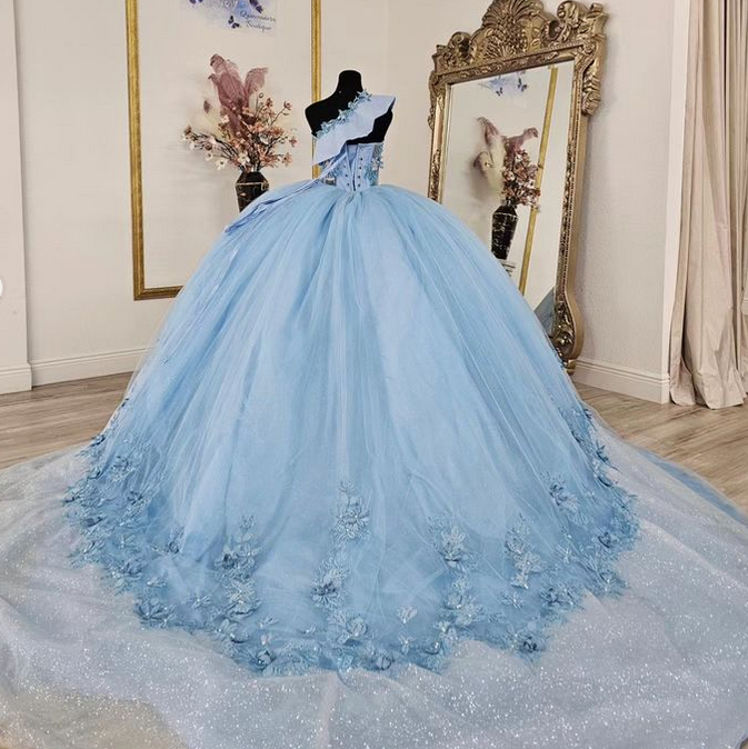 Princess Quinceanera Dress Ball Gown, Sweet 16 Dresses, Sweet 15 Dresses DTQ111