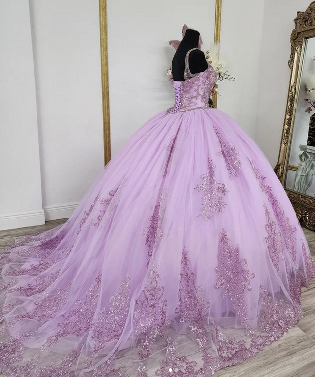 Princess Quinceanera Dress Ball Gown, Sweet 16 Dresses, Sweet 15 Dresses DTQ114