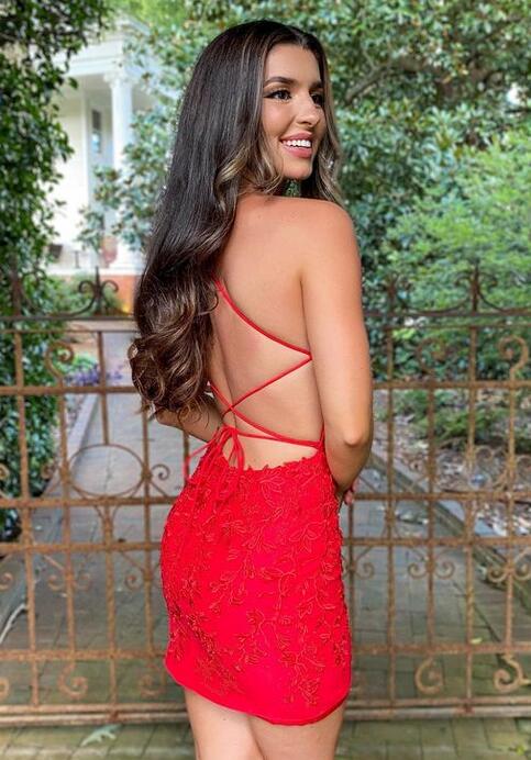2023 Sexy Lace Homecoming Dress, Short Prom Dress, DTH105