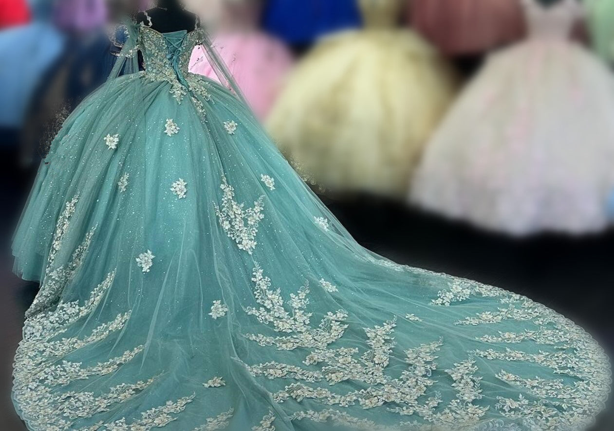 Princess Quinceanera Dress Ball Gown, Sweet 16 Dresses, Sweet 15 Dresses DTQ119