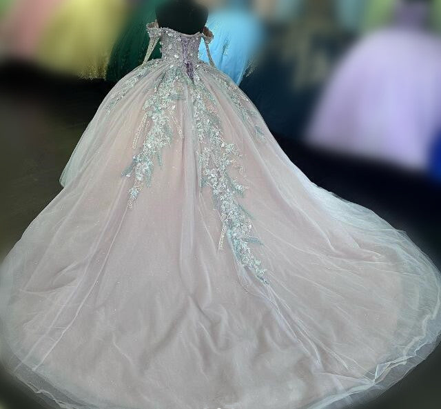 Princess Quinceanera Dress Ball Gown, Sweet 16 Dresses, Sweet 15 Dresses DTQ120