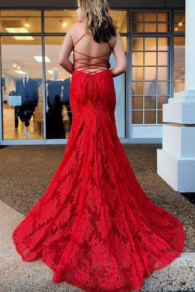 Sexy Lace Prom Dress, Pageant Dress, Evening Dress, Dance Dresses, Graduation School Party Gown