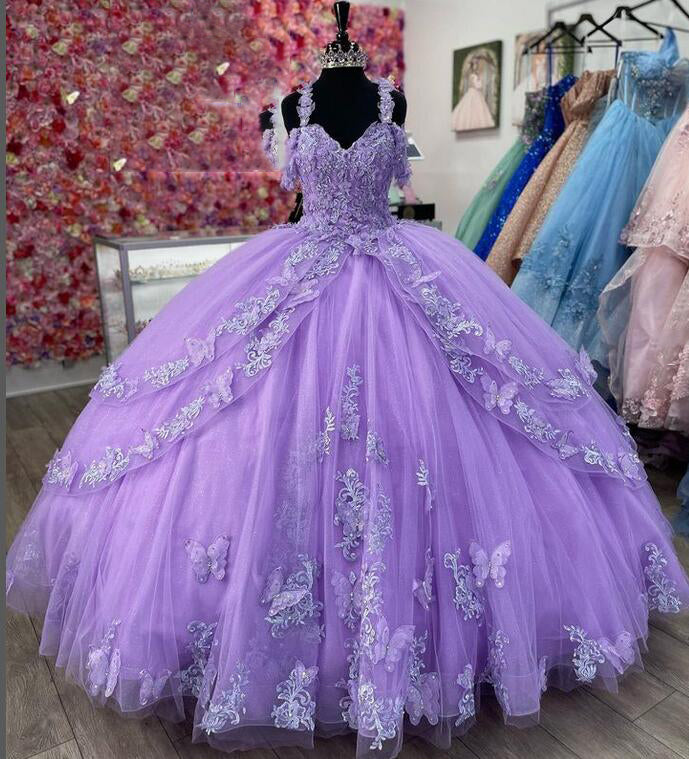 Princess Quinceanera Dress Ball Gown, Sweet 16 Dresses, Sweet 15 Dresses DTQ112