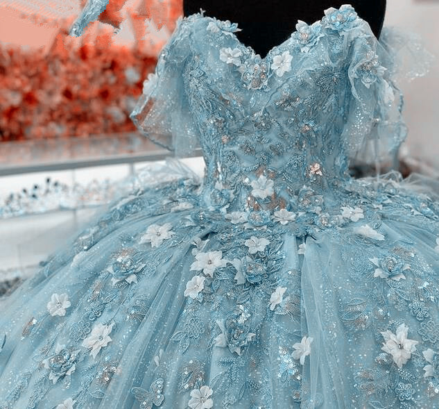 Princess Quinceanera Dress Ball Gown, Sweet 16 Dresses, Sweet 15 Dresses DTQ116