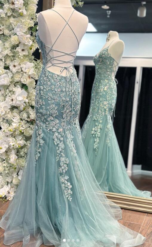 Fitted Tulle/Lace Long Prom Dresses